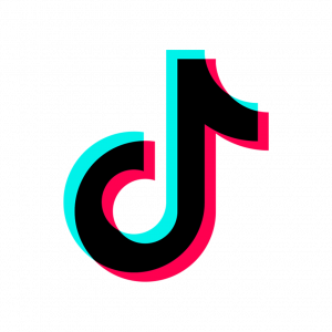 Seguidores de TikTok