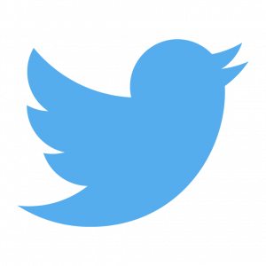 Seguidores de Twitter